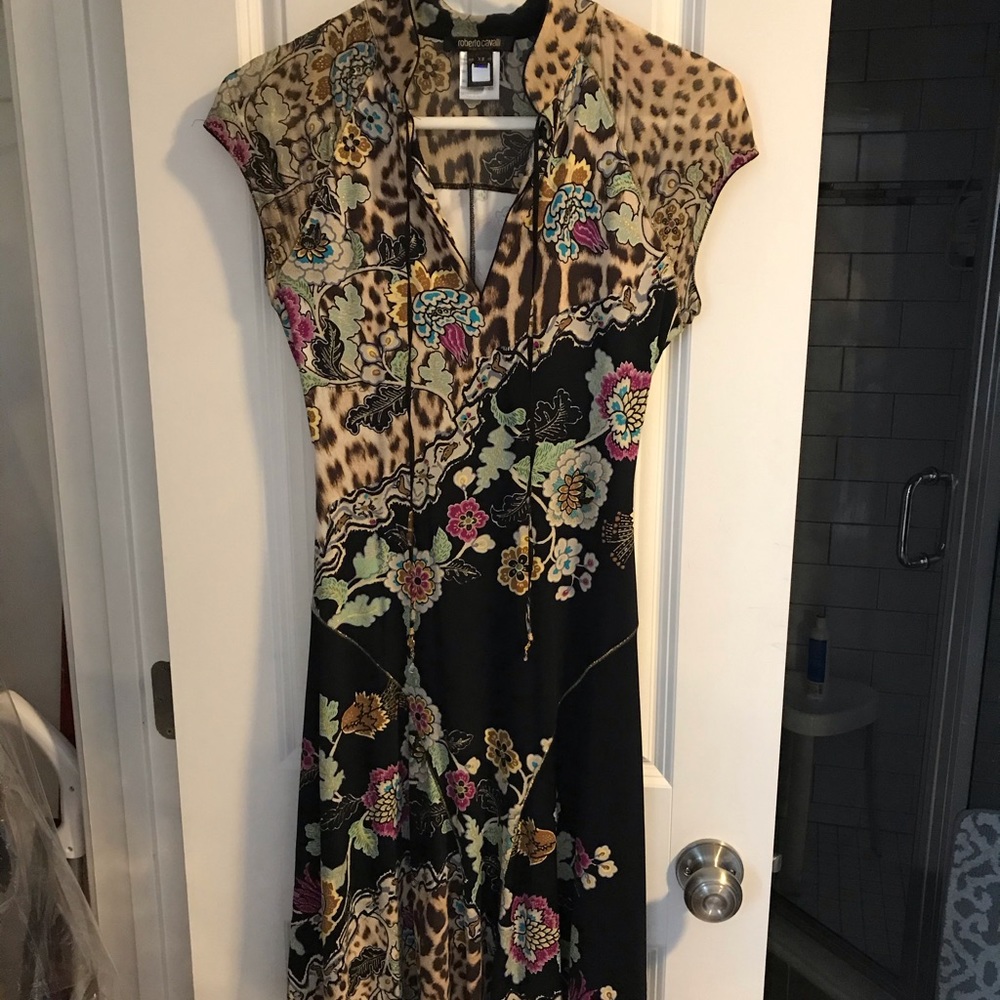 Beautifully fitting Robert Cavalli Dress